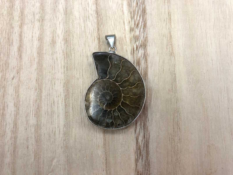 Colgante Ammonite 4.5 x 3.5 cm Aprox